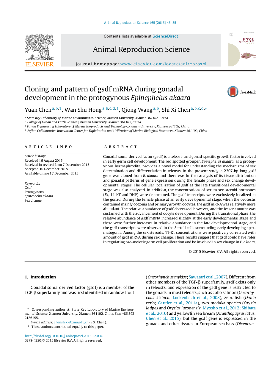 Cloning and pattern of gsdf mRNA during gonadal development in the protogynous Epinephelus akaara