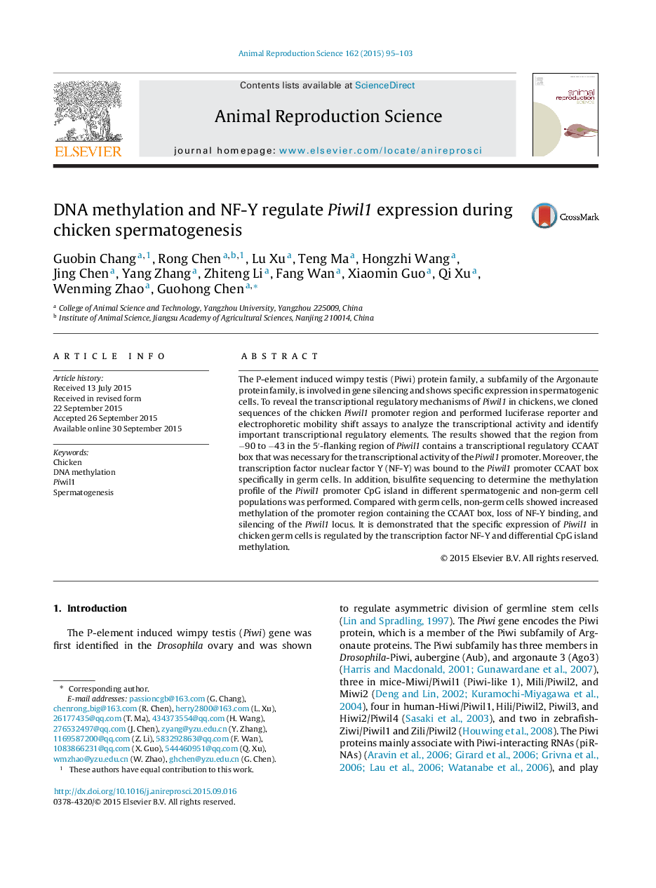 DNA methylation and NF-Y regulate Piwil1 expression during chicken spermatogenesis