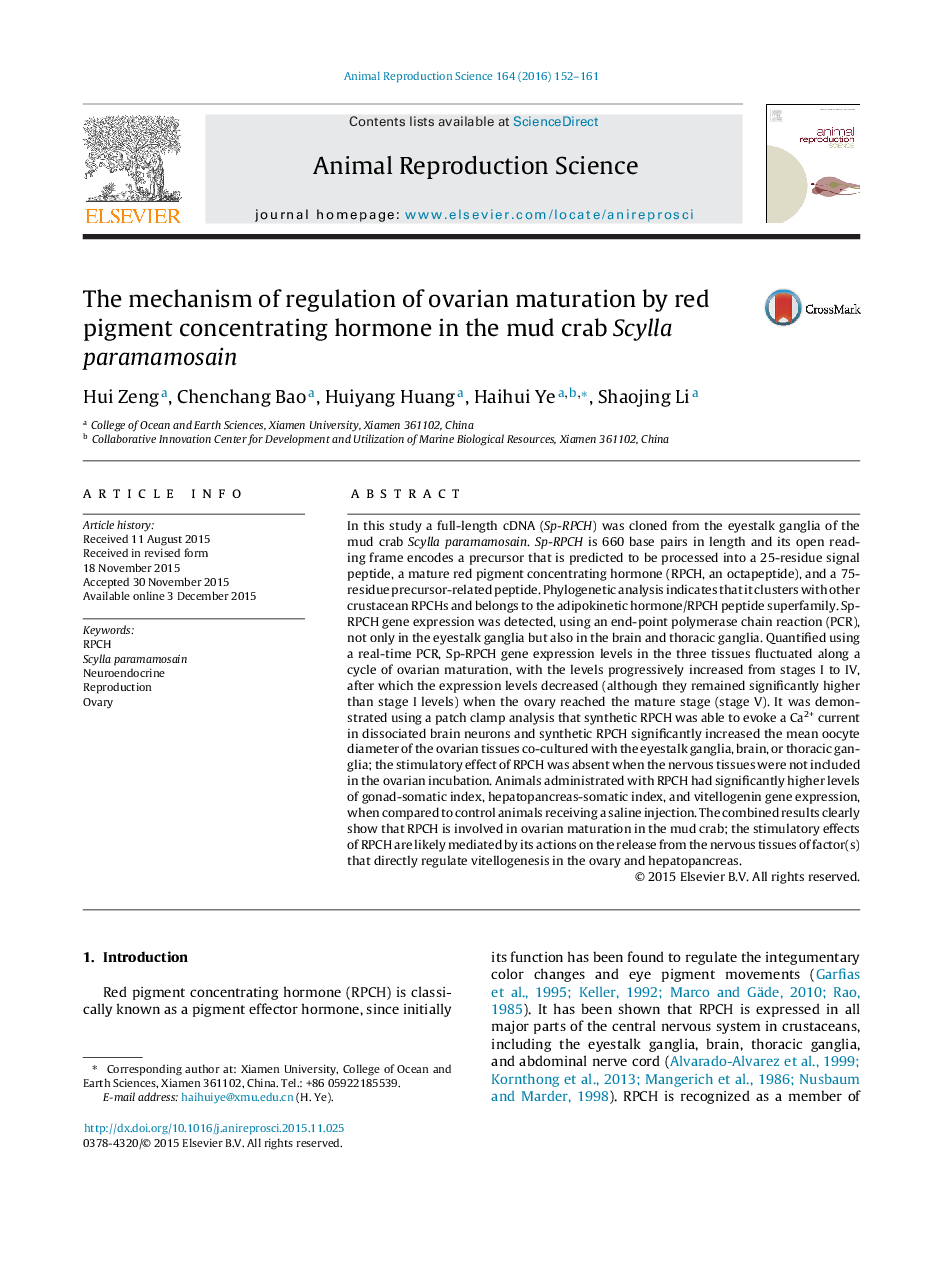 The mechanism of regulation of ovarian maturation by red pigment concentrating hormone in the mud crab Scylla paramamosain