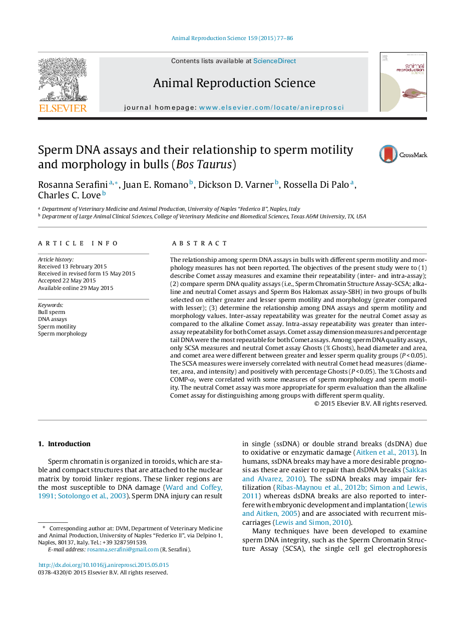 Sperm DNA assays and their relationship to sperm motility and morphology in bulls (Bos Taurus)