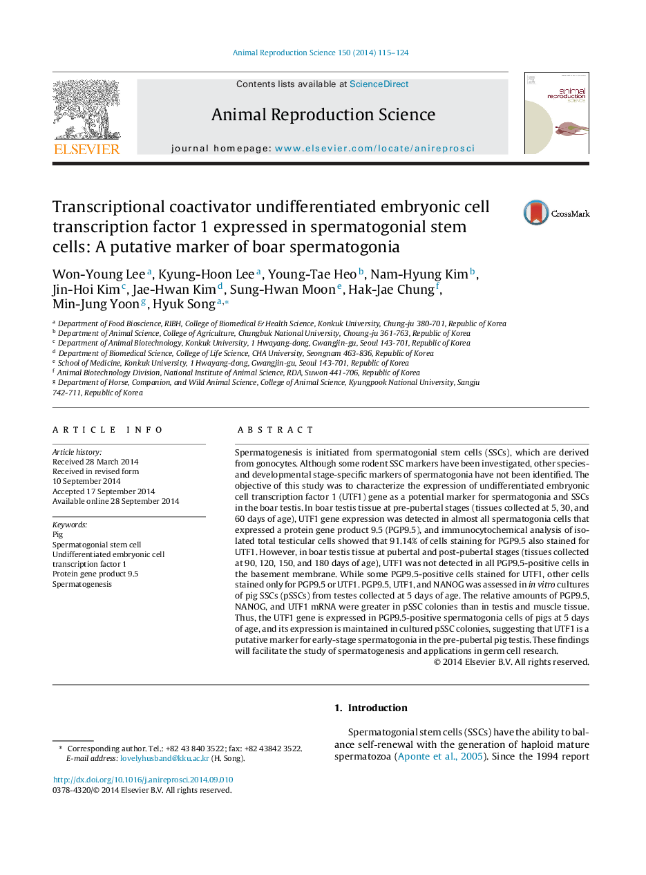 Transcriptional coactivator undifferentiated embryonic cell transcription factor 1 expressed in spermatogonial stem cells: A putative marker of boar spermatogonia