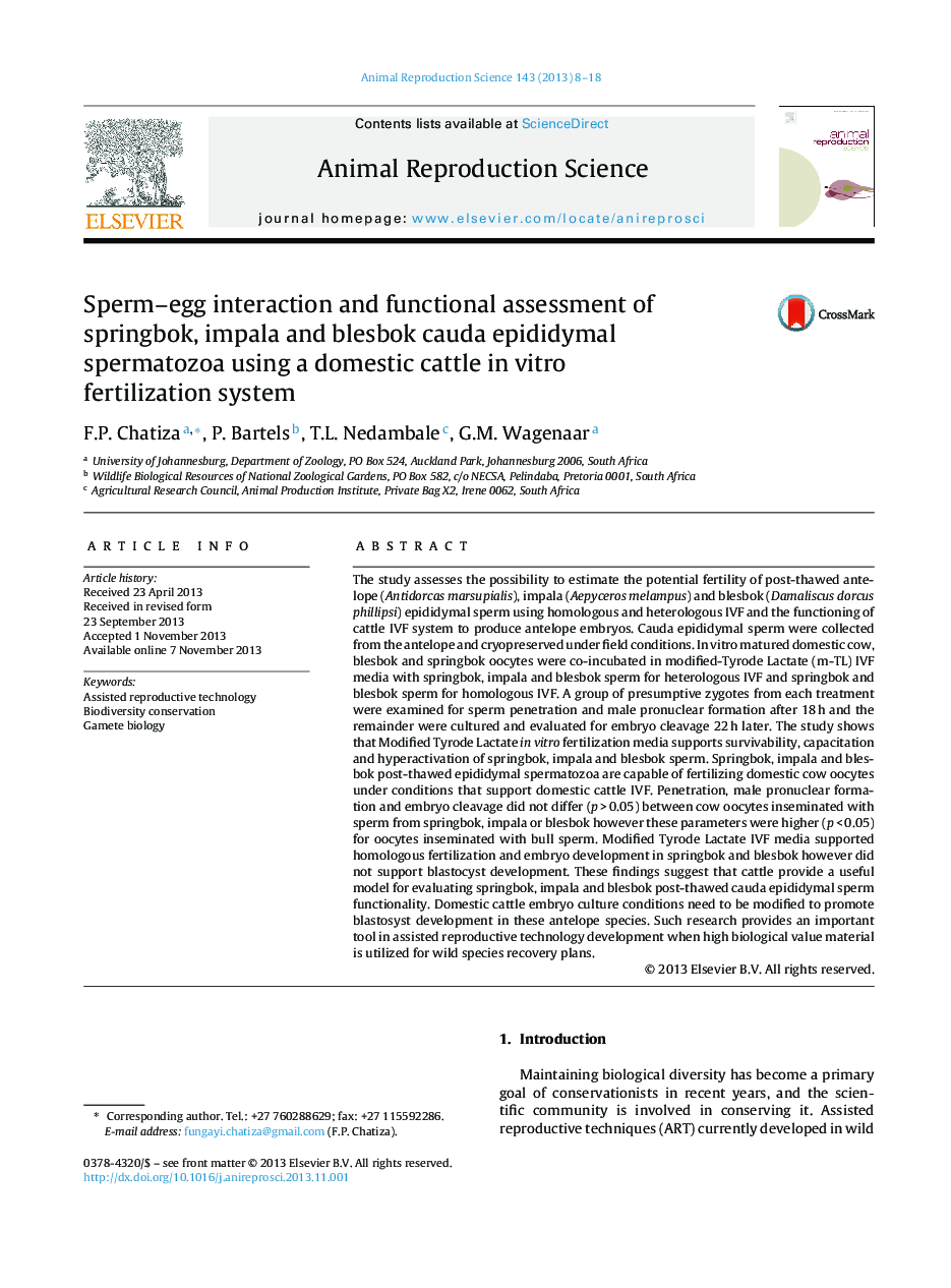 Sperm–egg interaction and functional assessment of springbok, impala and blesbok cauda epididymal spermatozoa using a domestic cattle in vitro fertilization system