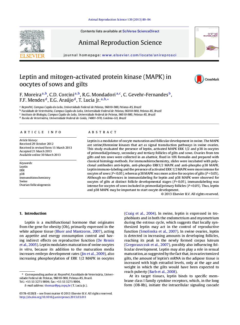 Leptin and mitogen-activated protein kinase (MAPK) in oocytes of sows and gilts