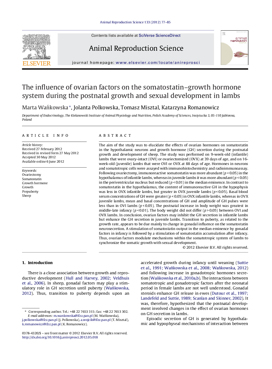 The influence of ovarian factors on the somatostatin–growth hormone system during the postnatal growth and sexual development in lambs