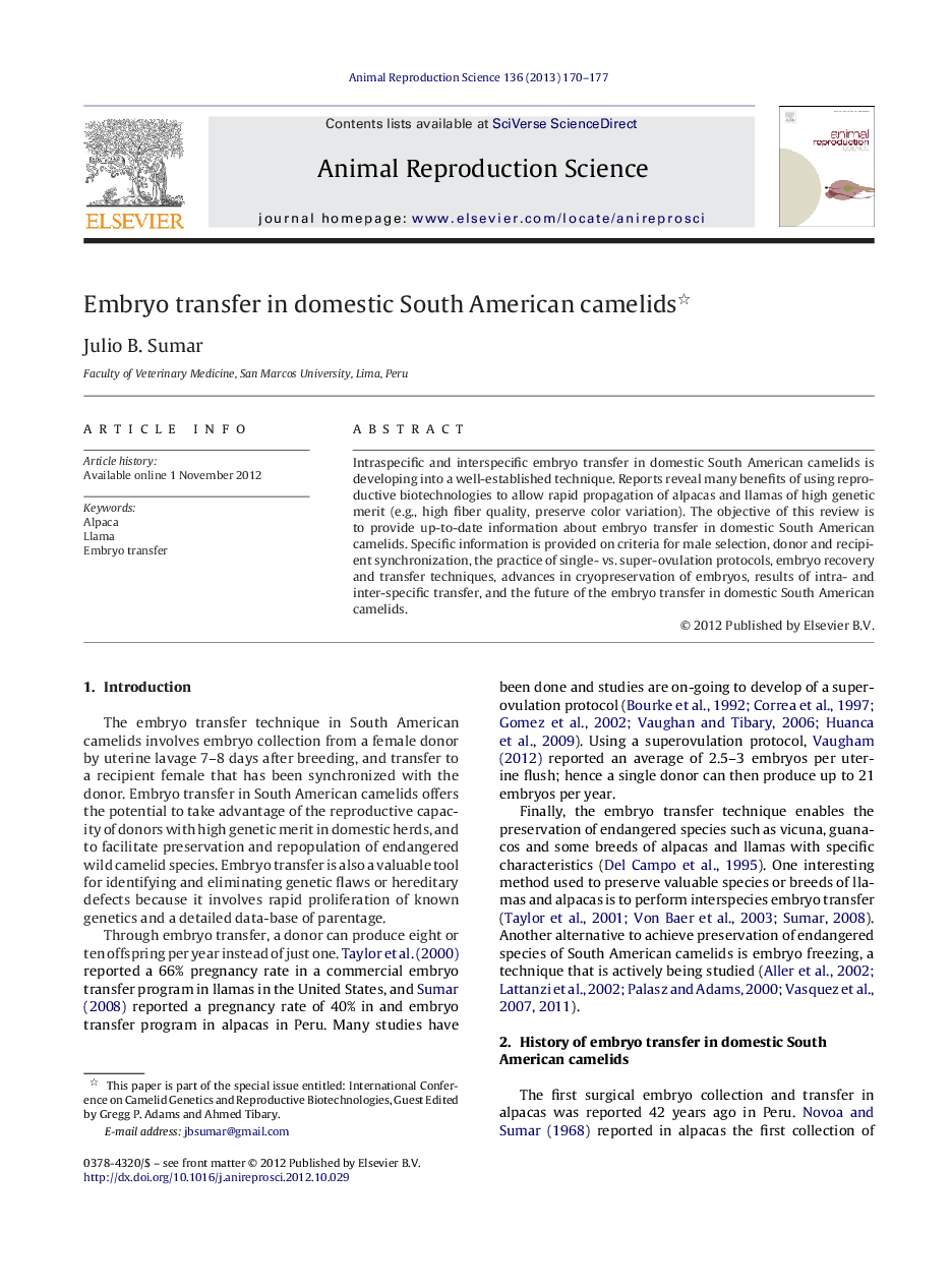 Embryo transfer in domestic South American camelids 