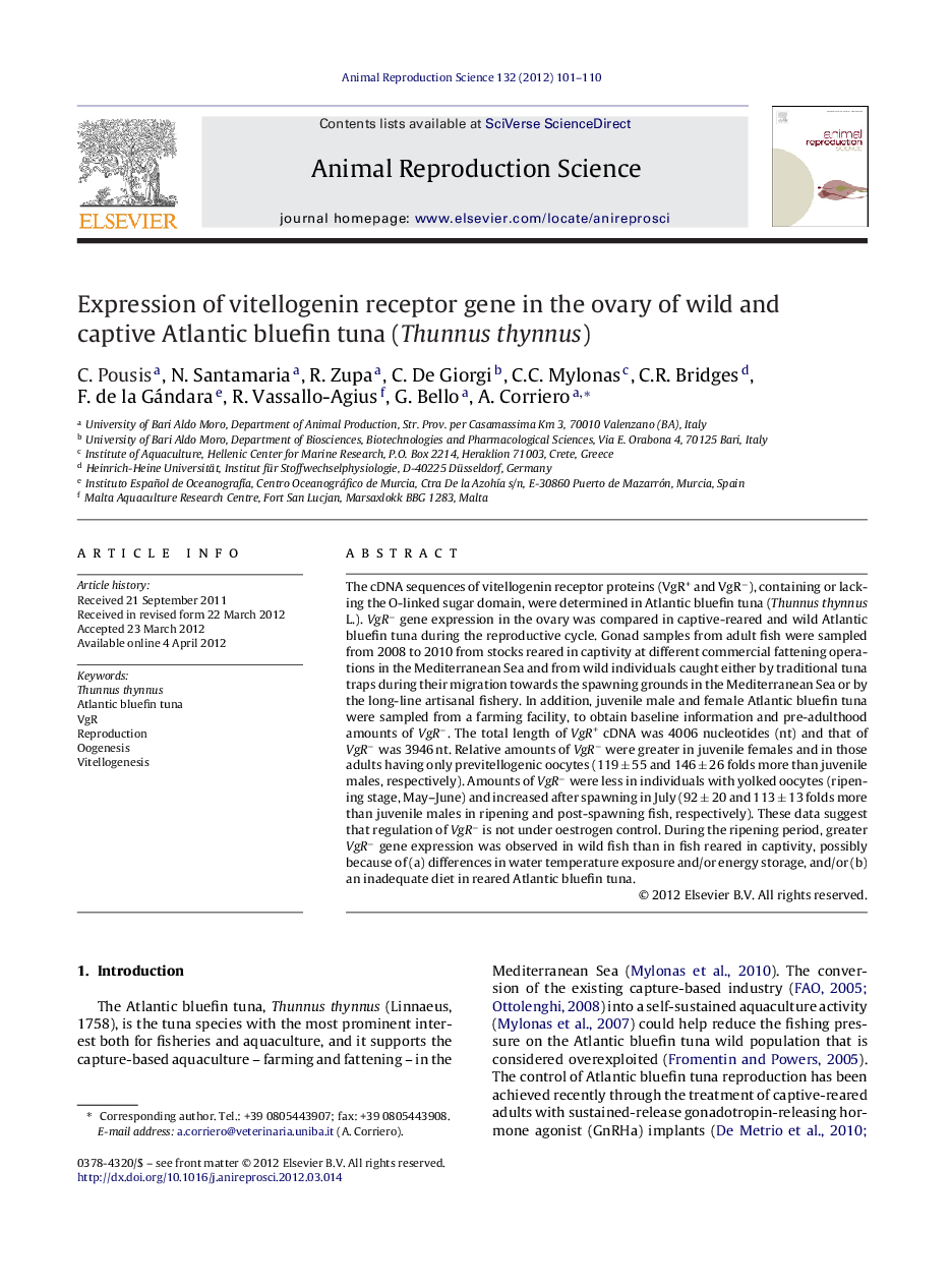 Expression of vitellogenin receptor gene in the ovary of wild and captive Atlantic bluefin tuna (Thunnus thynnus)