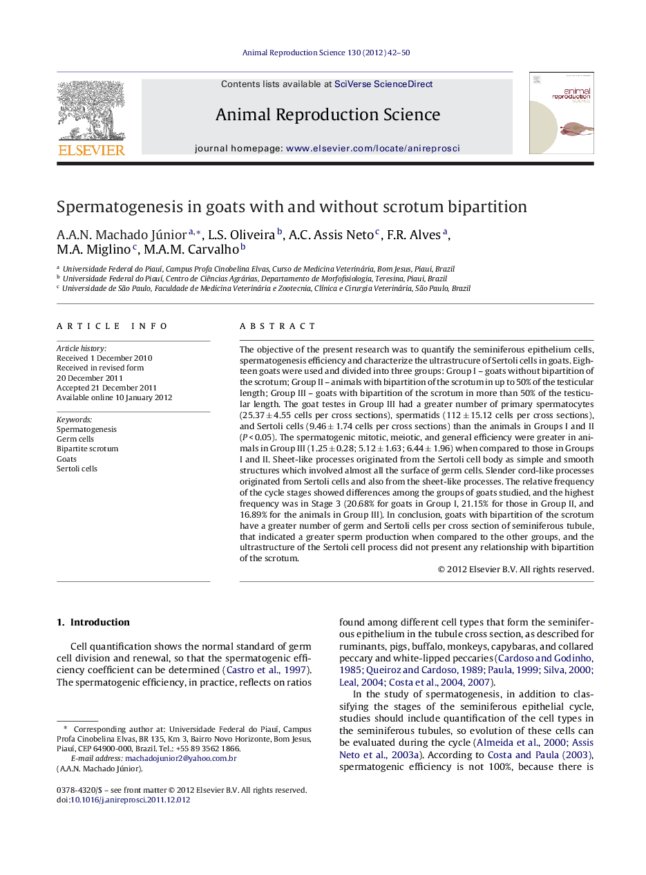 Spermatogenesis in goats with and without scrotum bipartition