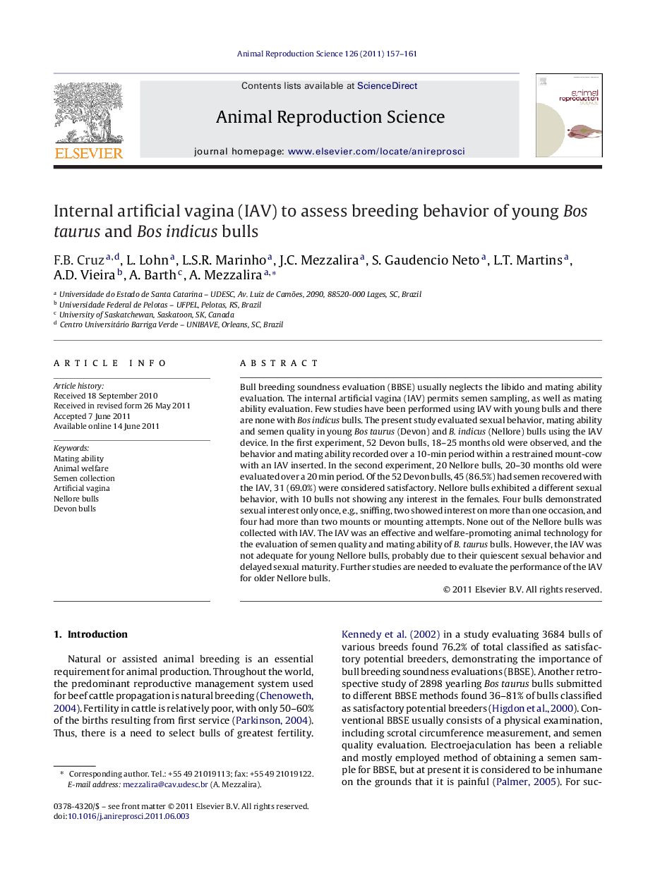 Internal artificial vagina (IAV) to assess breeding behavior of young Bos taurus and Bos indicus bulls