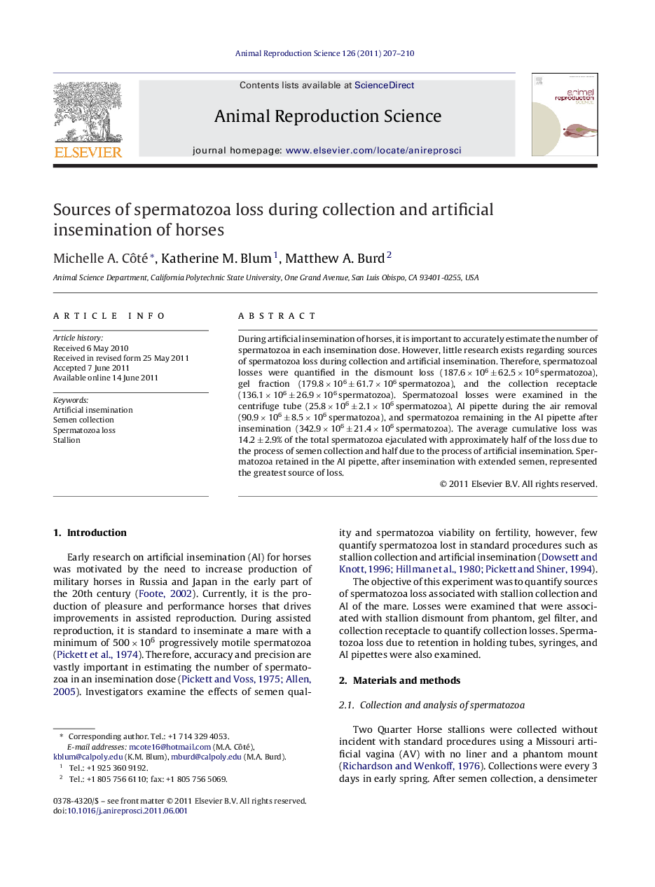 Sources of spermatozoa loss during collection and artificial insemination of horses