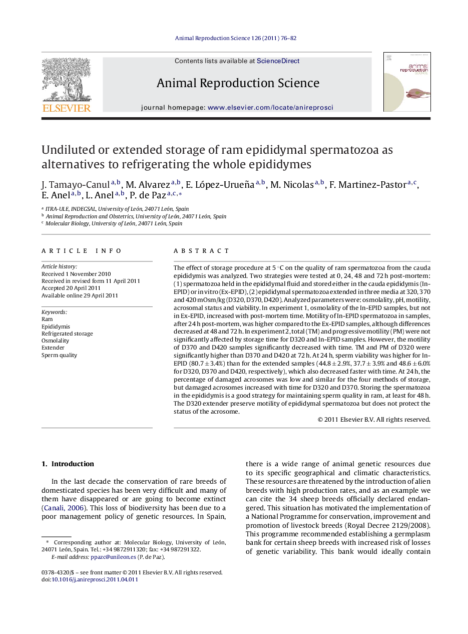 Undiluted or extended storage of ram epididymal spermatozoa as alternatives to refrigerating the whole epididymes