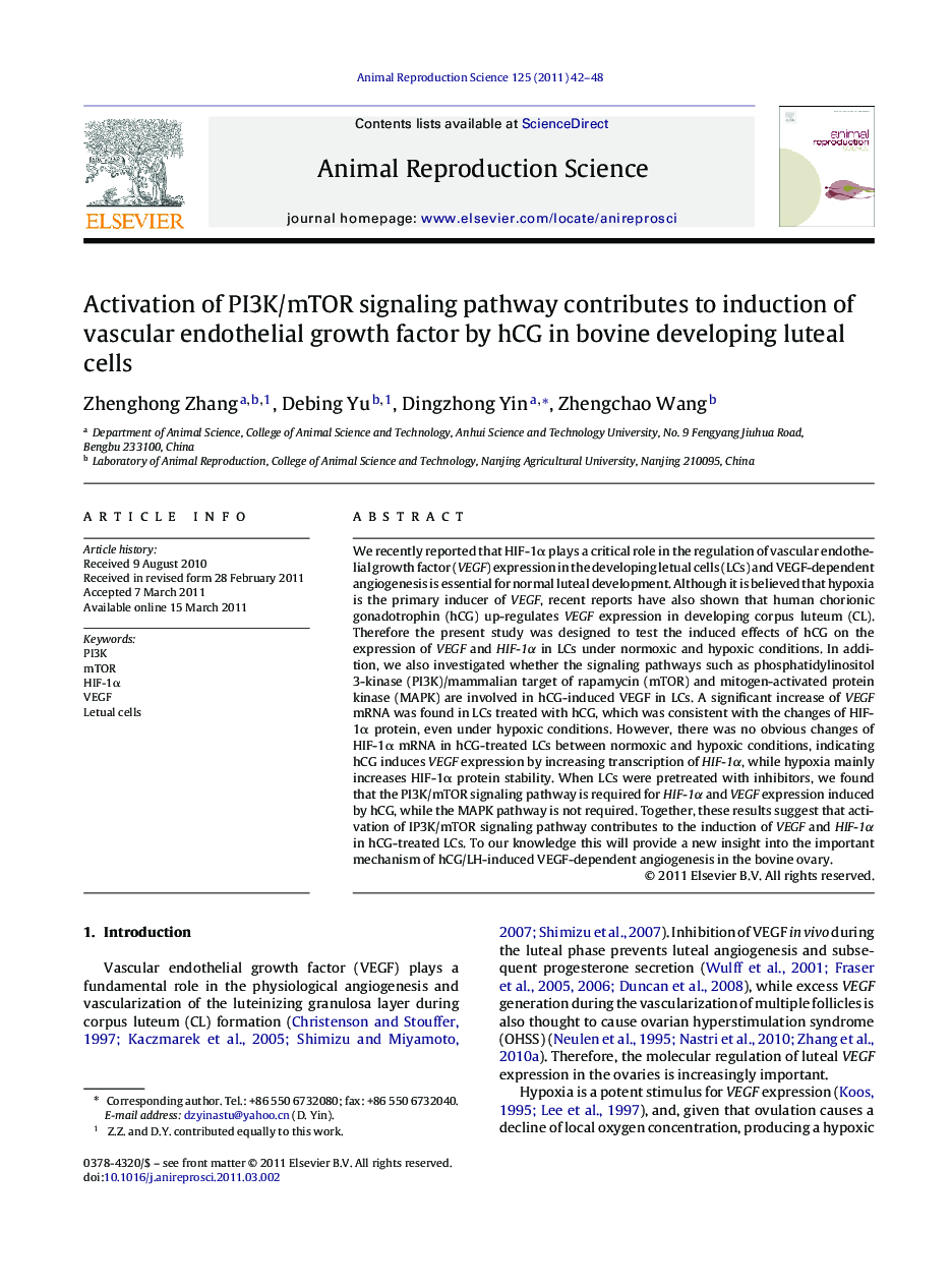 Activation of PI3K/mTOR signaling pathway contributes to induction of vascular endothelial growth factor by hCG in bovine developing luteal cells