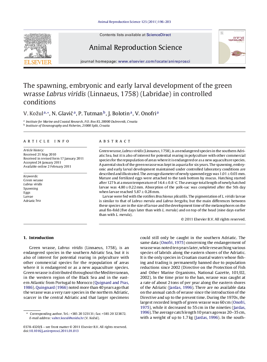 The spawning, embryonic and early larval development of the green wrasse Labrus viridis (Linnaeus, 1758) (Labridae) in controlled conditions