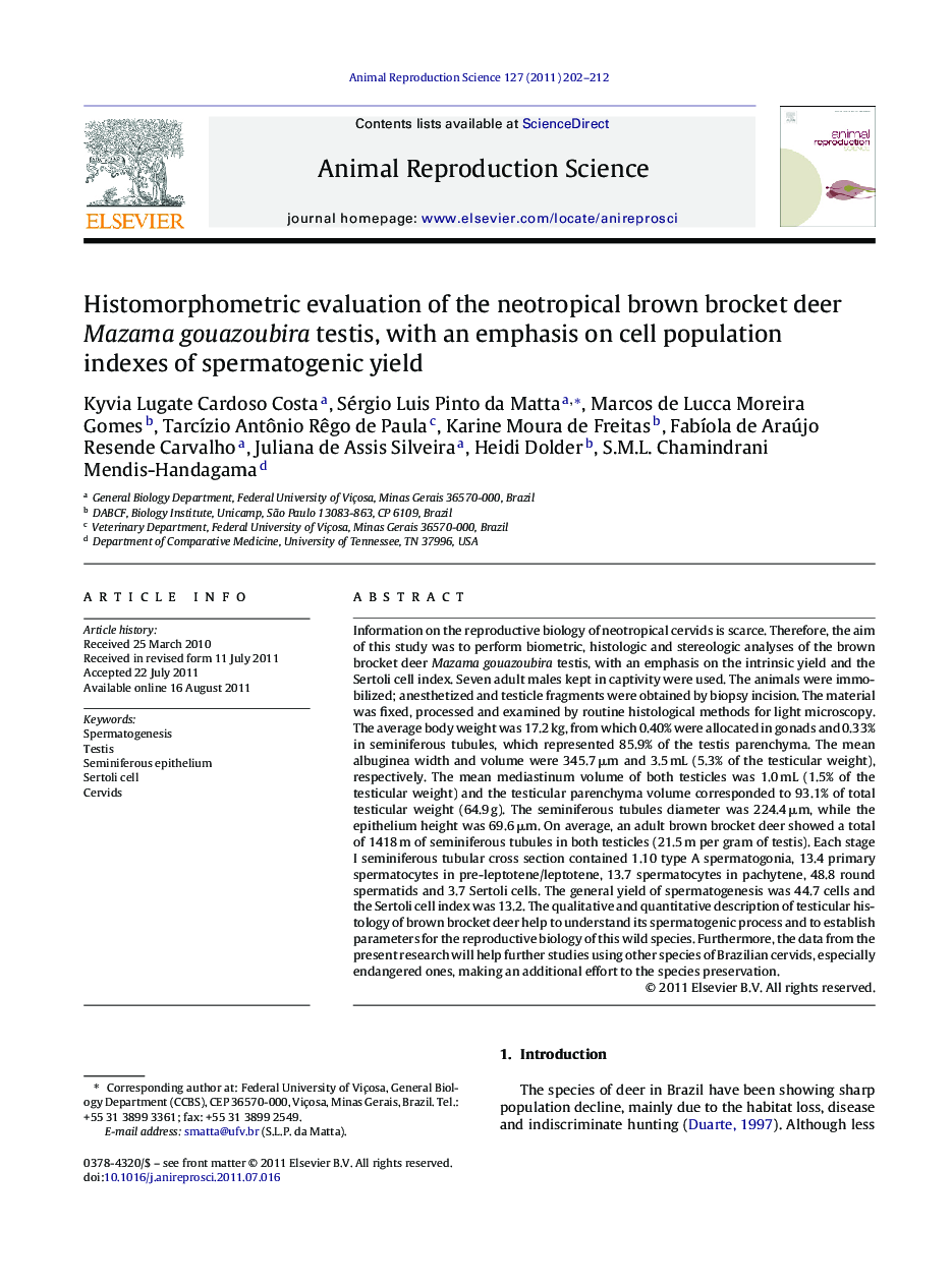 Histomorphometric evaluation of the neotropical brown brocket deer Mazama gouazoubira testis, with an emphasis on cell population indexes of spermatogenic yield