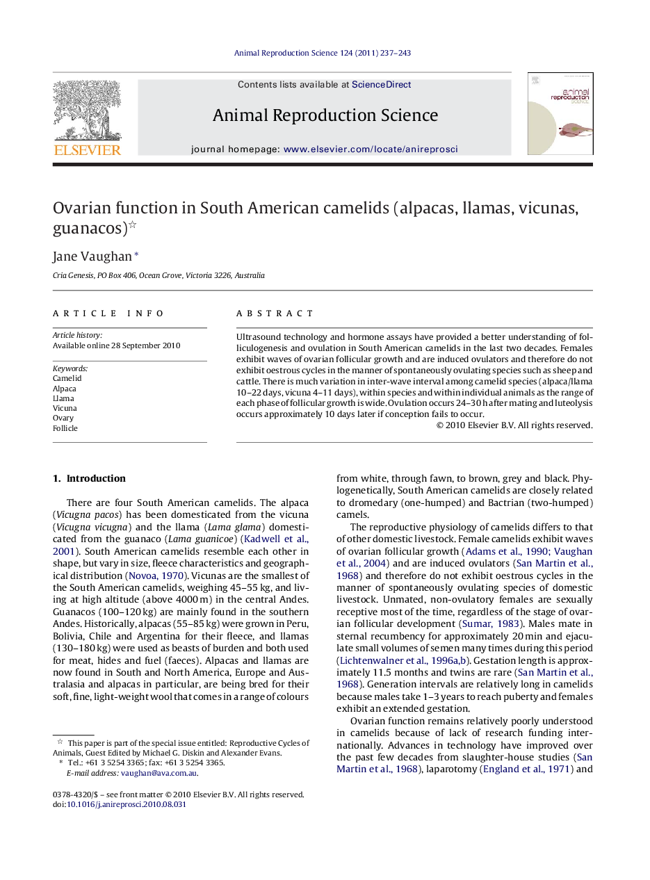 Ovarian function in South American camelids (alpacas, llamas, vicunas, guanacos) 