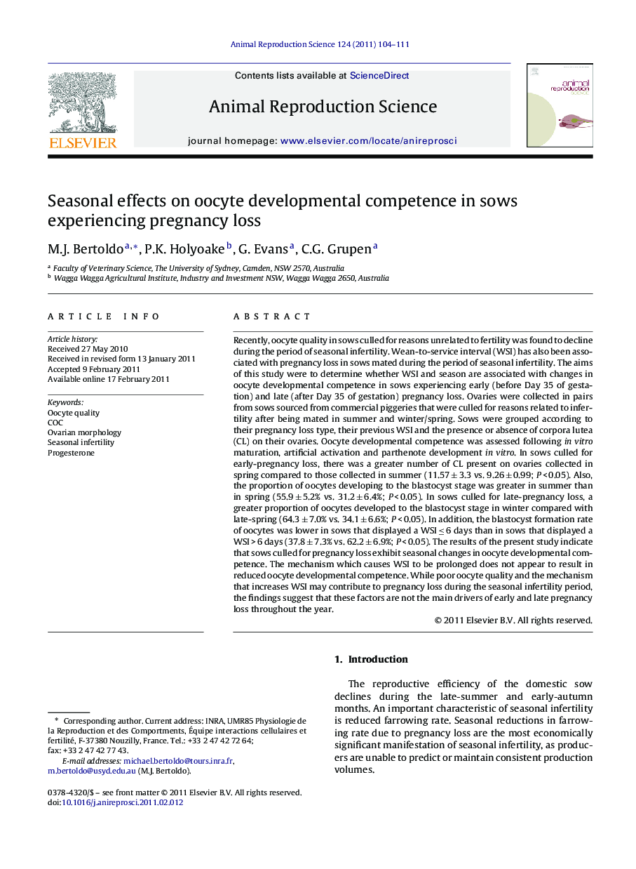 Seasonal effects on oocyte developmental competence in sows experiencing pregnancy loss