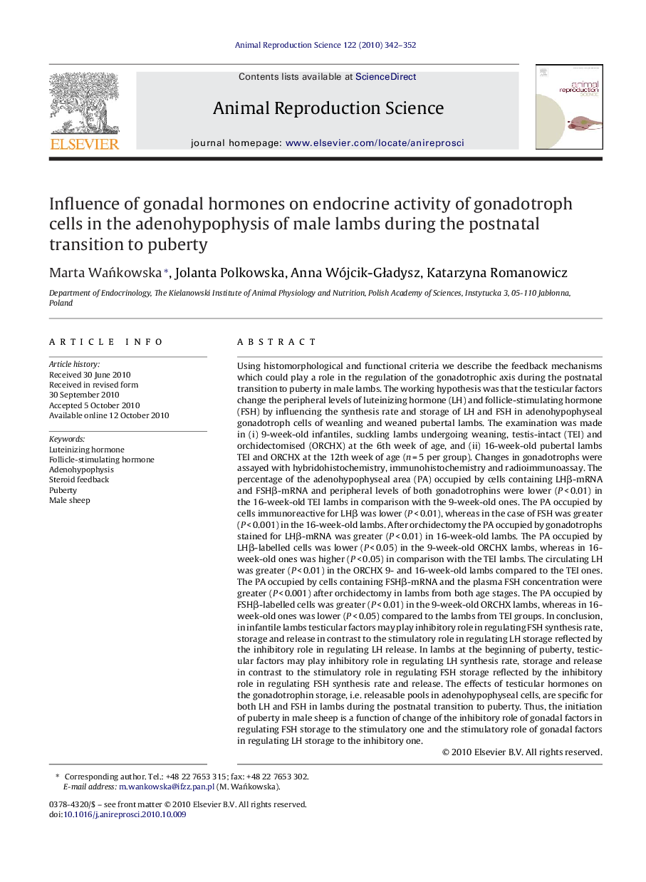 Influence of gonadal hormones on endocrine activity of gonadotroph cells in the adenohypophysis of male lambs during the postnatal transition to puberty