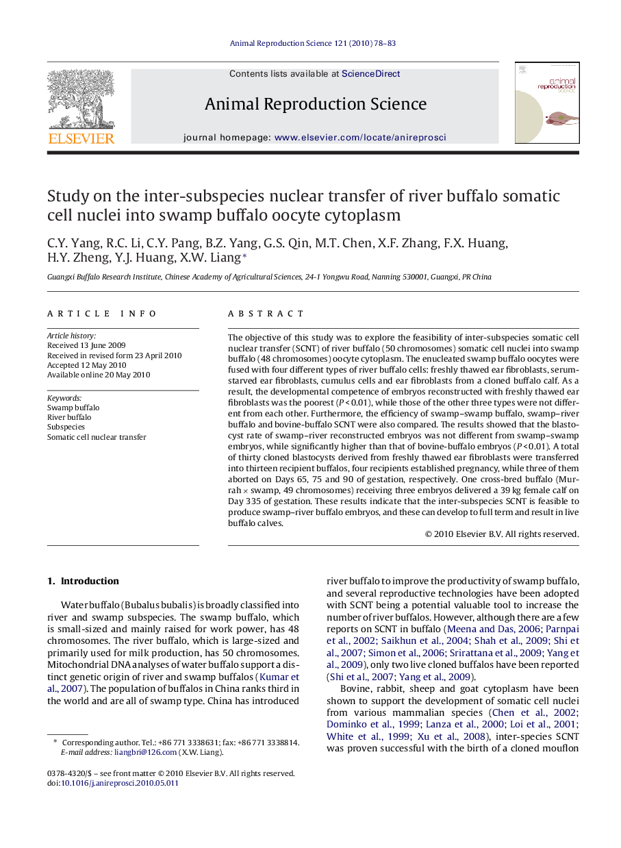 Study on the inter-subspecies nuclear transfer of river buffalo somatic cell nuclei into swamp buffalo oocyte cytoplasm