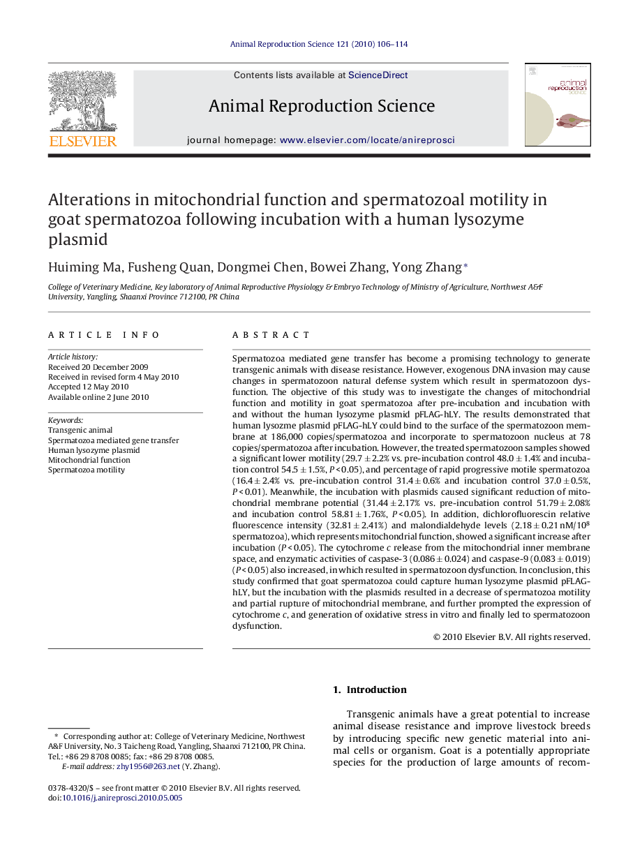 Alterations in mitochondrial function and spermatozoal motility in goat spermatozoa following incubation with a human lysozyme plasmid