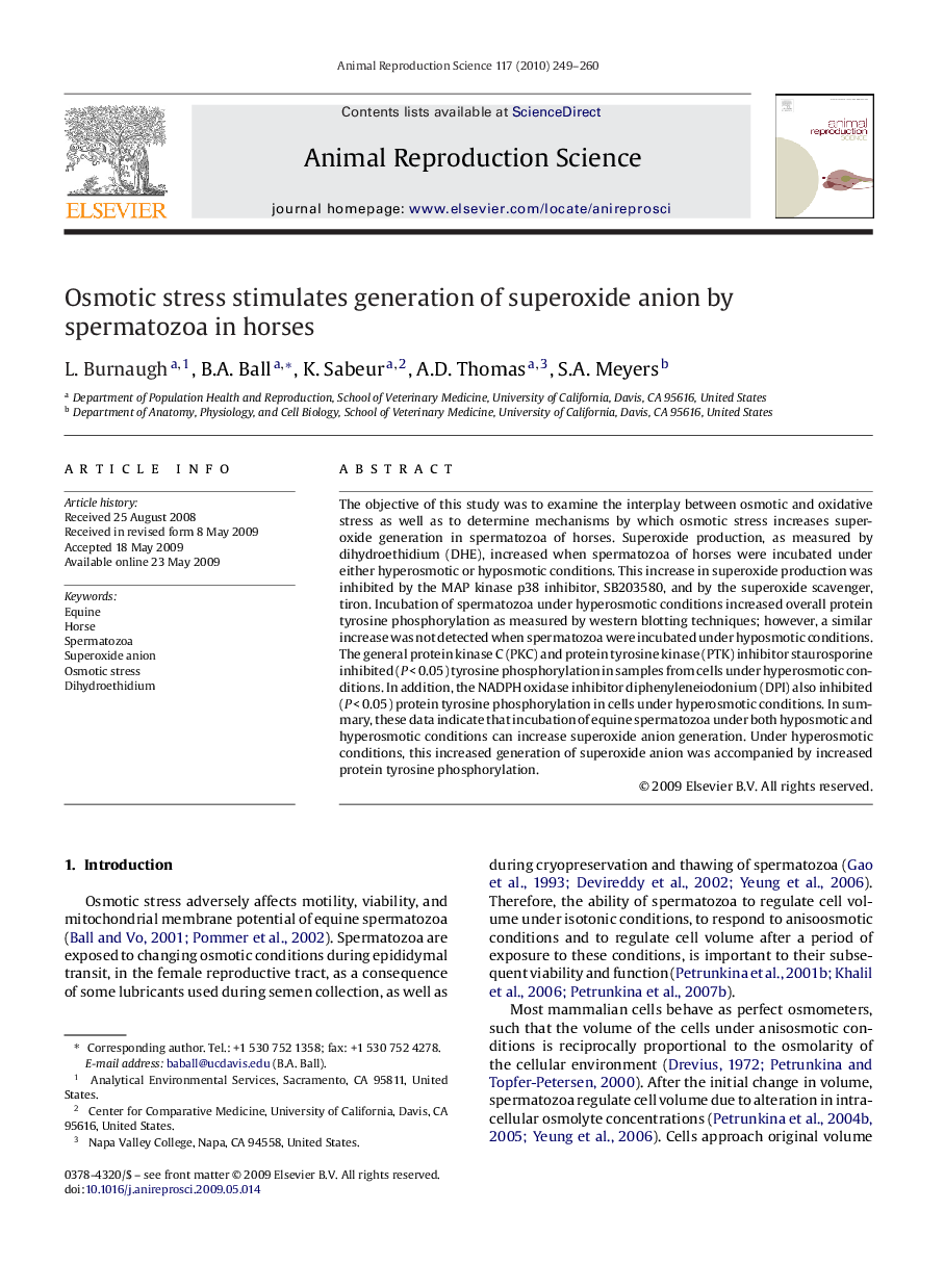 Osmotic stress stimulates generation of superoxide anion by spermatozoa in horses