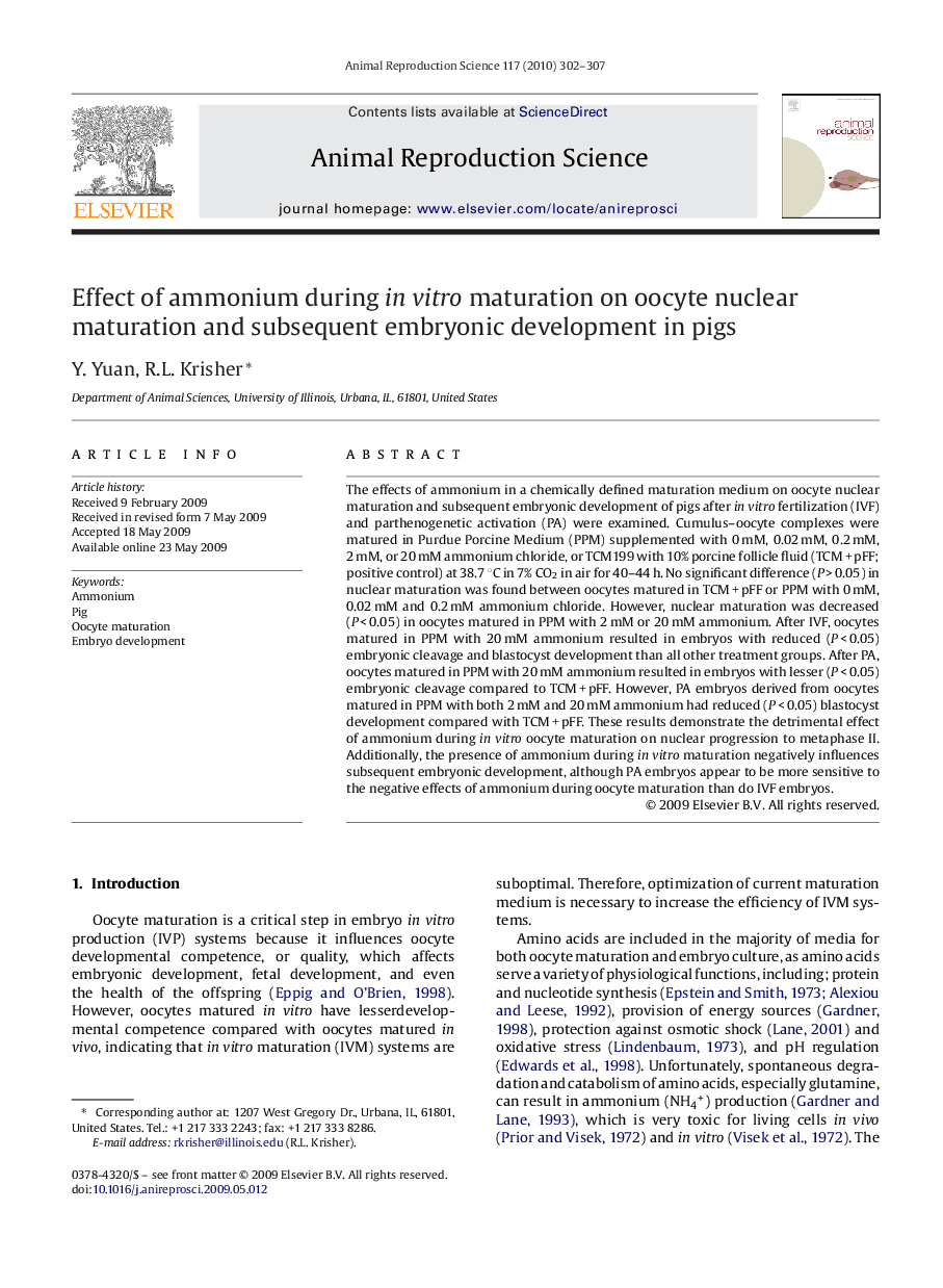 Effect of ammonium during in vitro maturation on oocyte nuclear maturation and subsequent embryonic development in pigs