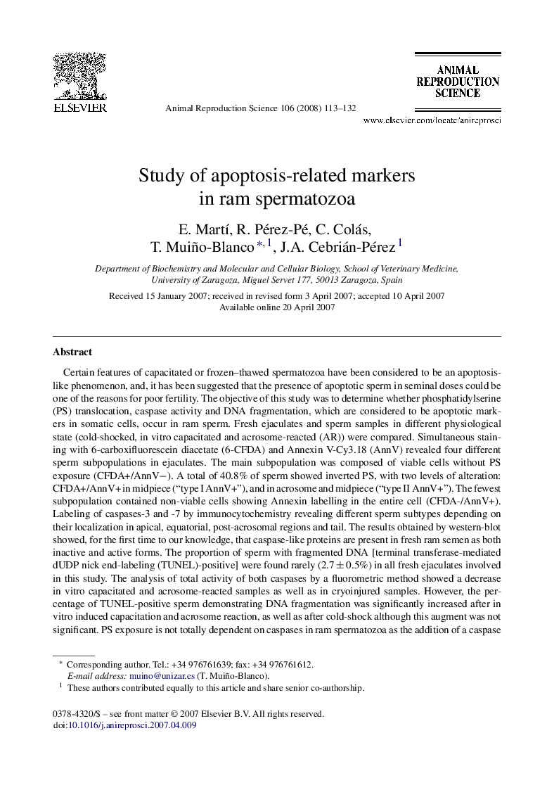 Study of apoptosis-related markers in ram spermatozoa