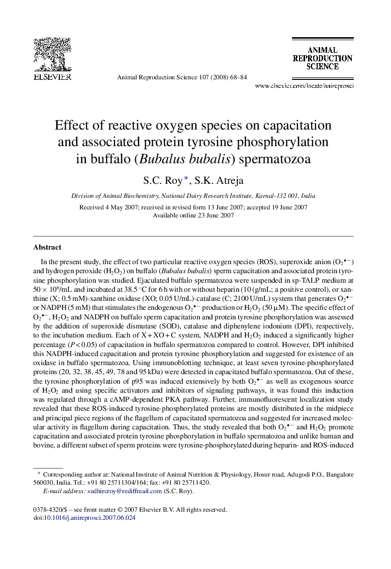 Effect of reactive oxygen species on capacitation and associated protein tyrosine phosphorylation in buffalo (Bubalus bubalis) spermatozoa