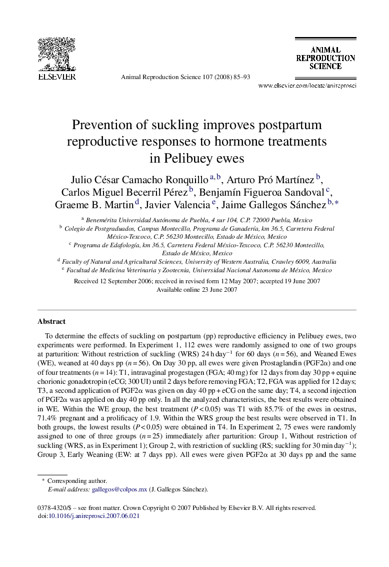 Prevention of suckling improves postpartum reproductive responses to hormone treatments in Pelibuey ewes