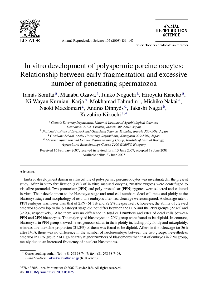In vitro development of polyspermic porcine oocytes: Relationship between early fragmentation and excessive number of penetrating spermatozoa
