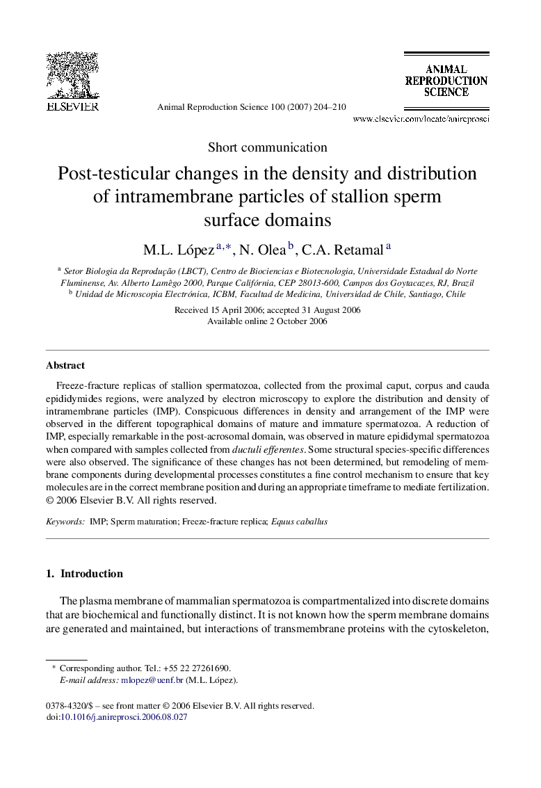 Post-testicular changes in the density and distribution of intramembrane particles of stallion sperm surface domains