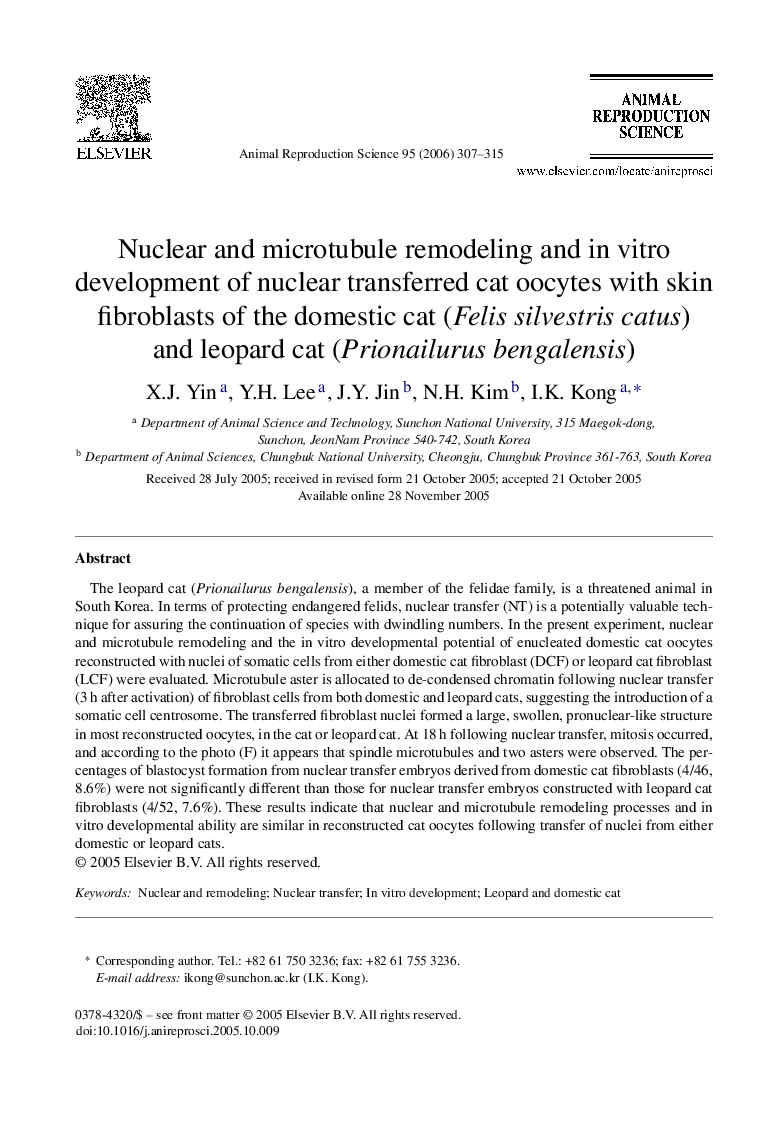 Nuclear and microtubule remodeling and in vitro development of nuclear transferred cat oocytes with skin fibroblasts of the domestic cat (Felis silvestris catus) and leopard cat (Prionailurus bengalensis)