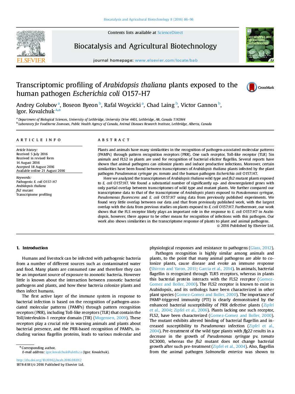 Transcriptomic profiling of Arabidopsis thaliana plants exposed to the human pathogen Escherichia coli O157-H7