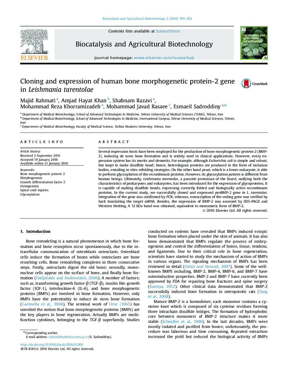 Cloning and expression of human bone morphogenetic protein-2 gene in Leishmania tarentolae