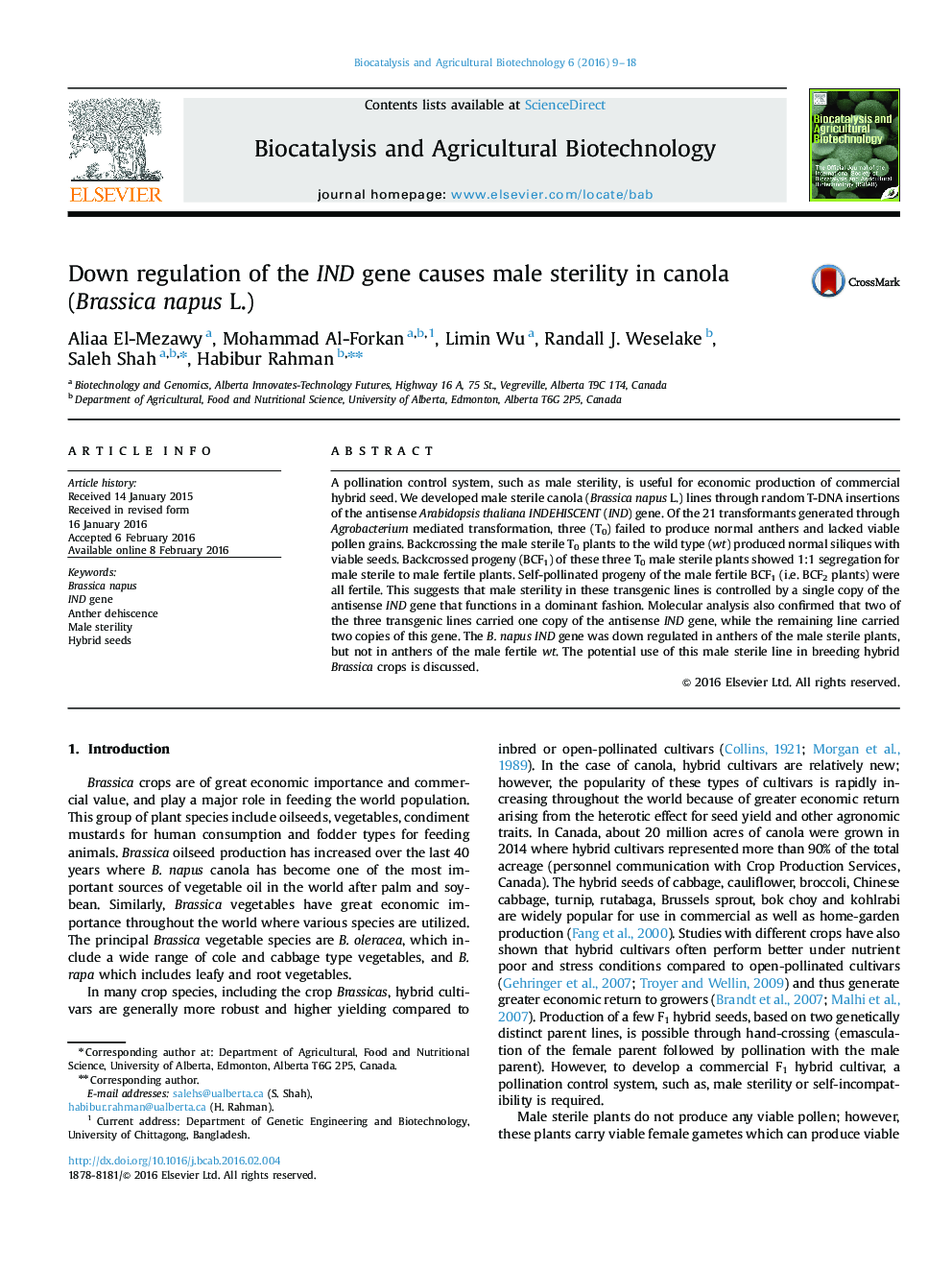 Down regulation of the IND gene causes male sterility in canola (Brassica napus L.)