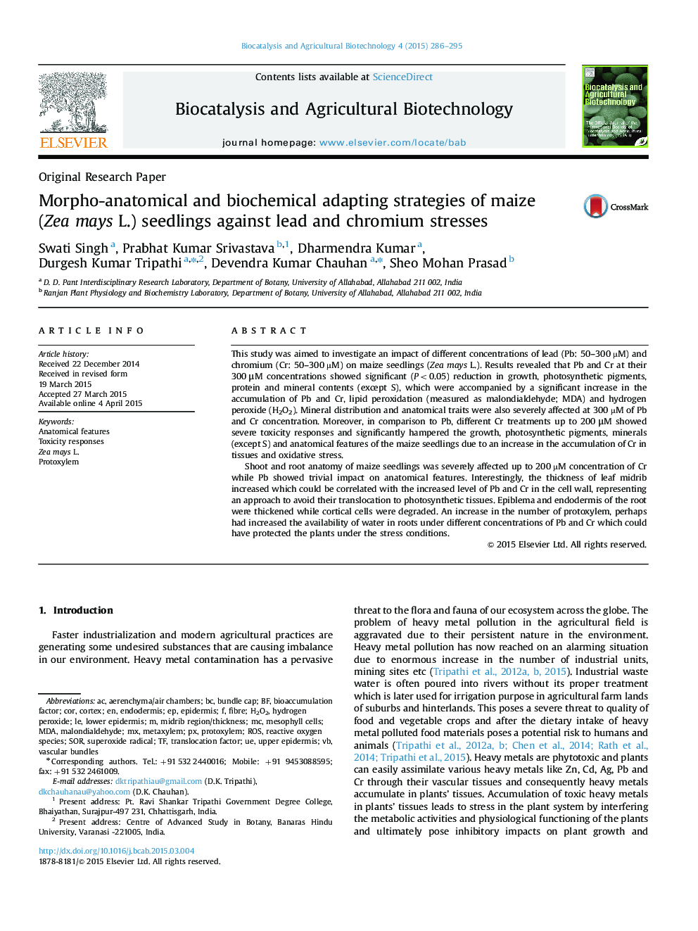 Morpho-anatomical and biochemical adapting strategies of maize (Zea mays L.) seedlings against lead and chromium stresses