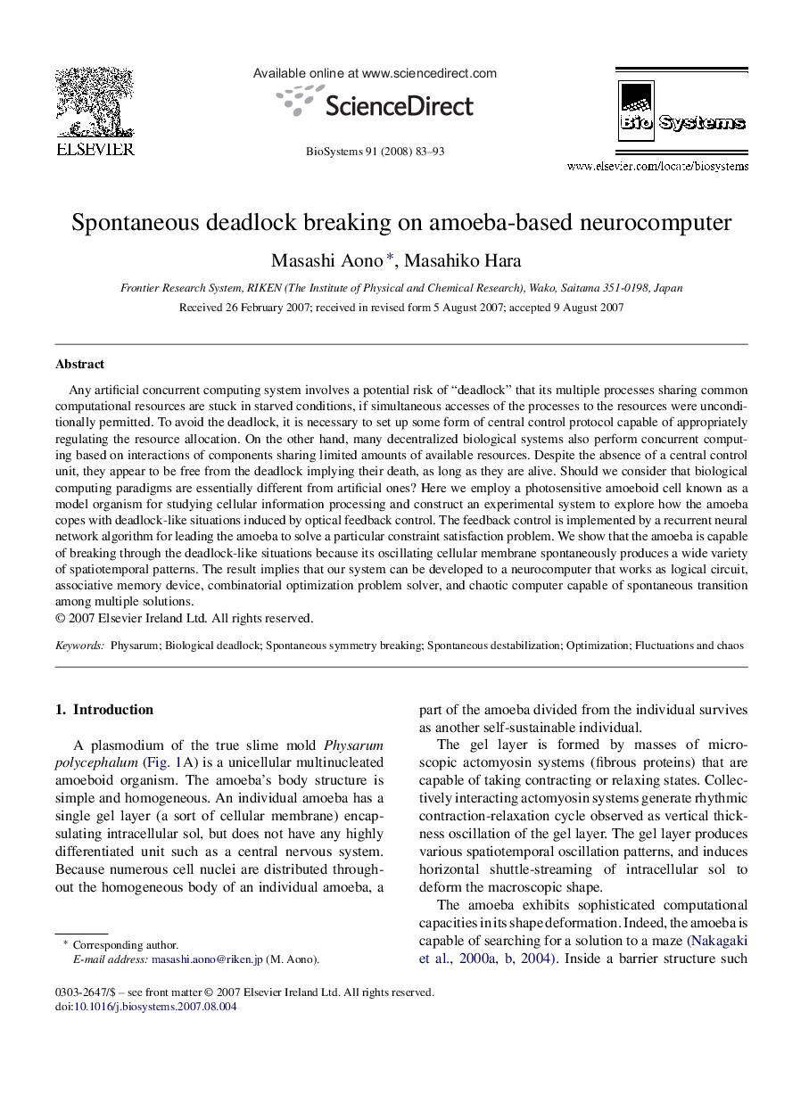 Spontaneous deadlock breaking on amoeba-based neurocomputer