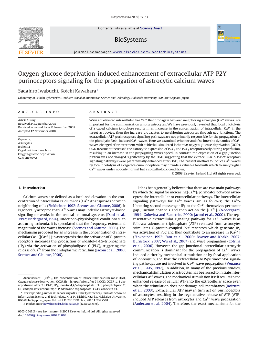 Oxygen-glucose deprivation-induced enhancement of extracellular ATP-P2Y purinoceptors signaling for the propagation of astrocytic calcium waves