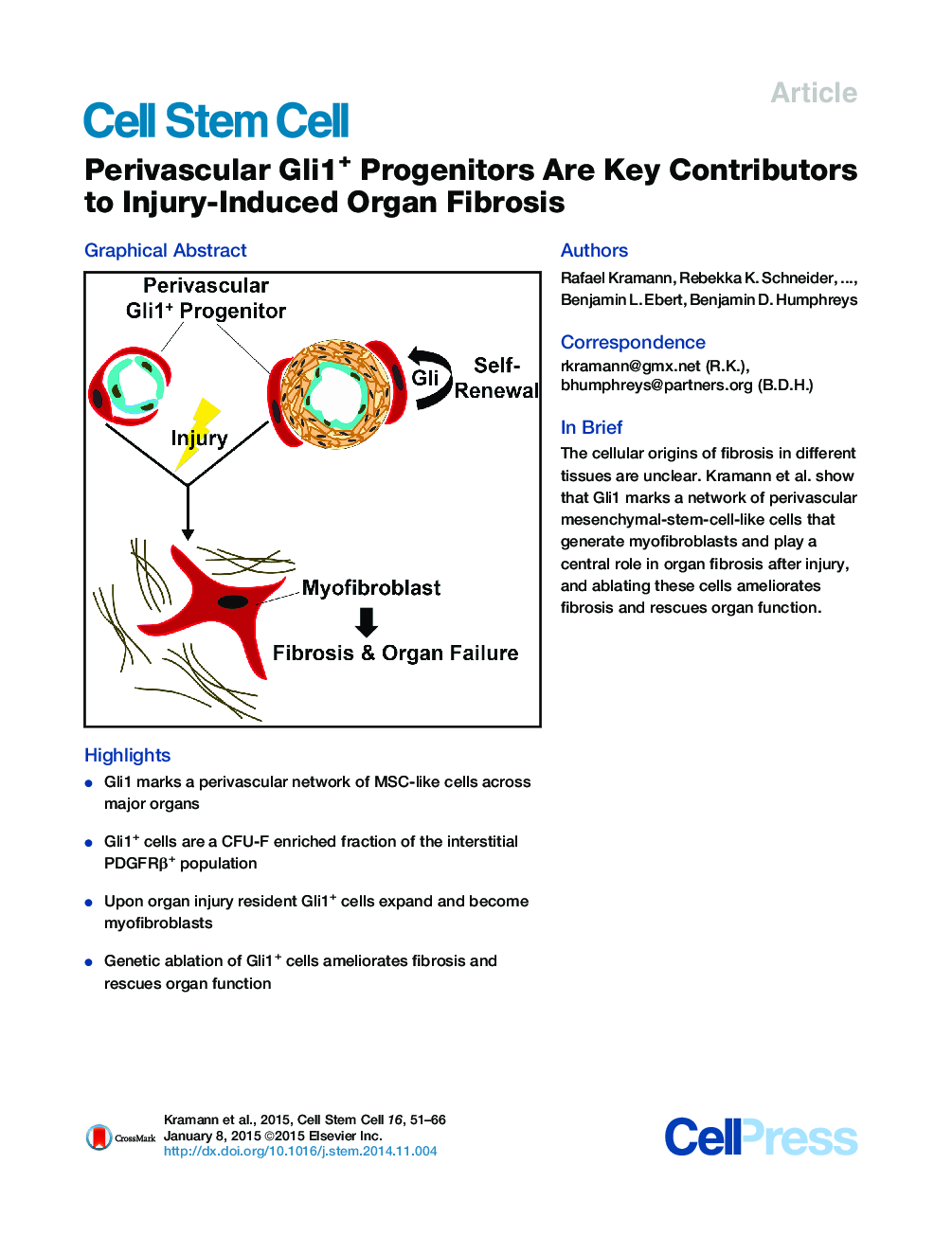 Perivascular Gli1+ Progenitors Are Key Contributors to Injury-Induced Organ Fibrosis