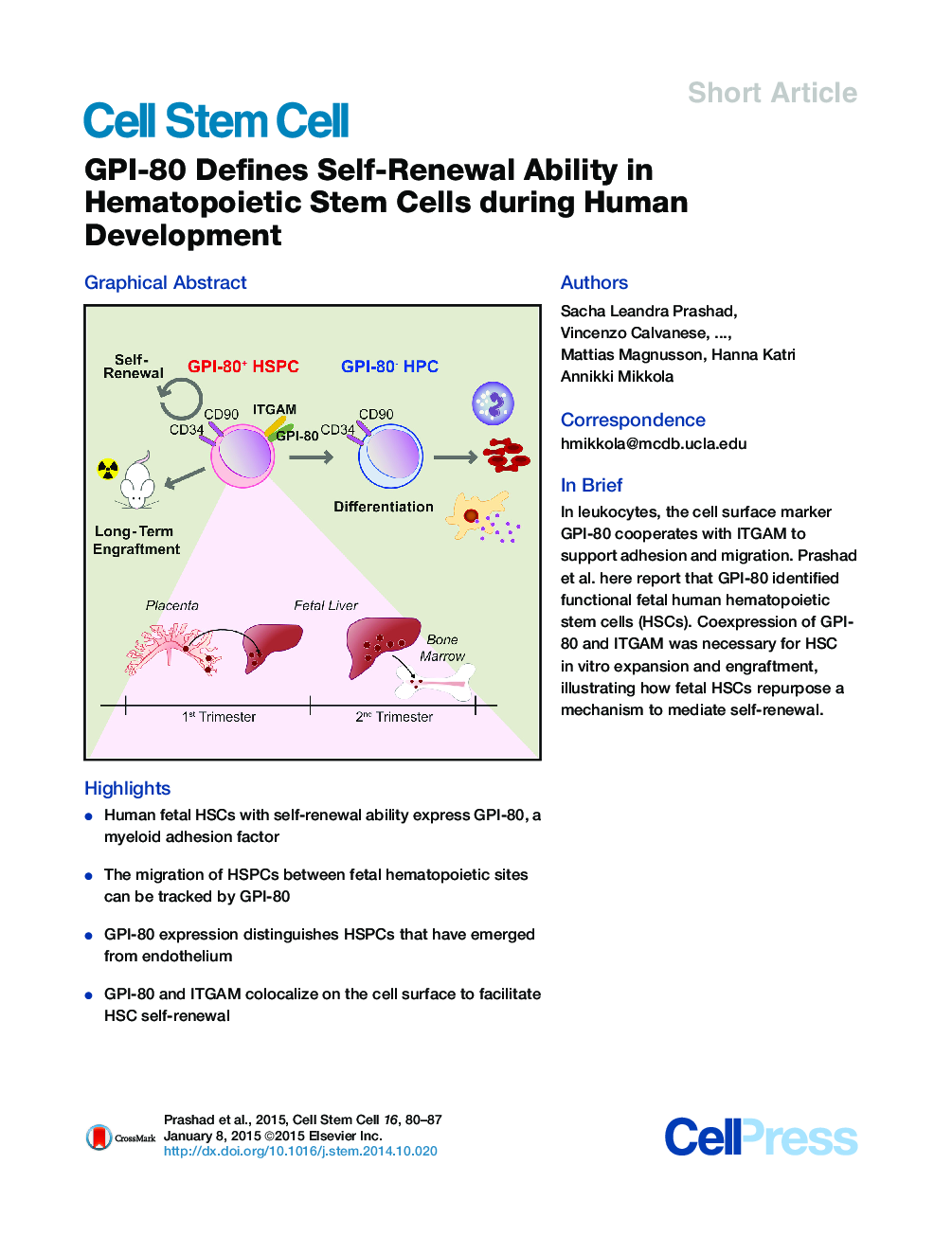 GPI-80 Defines Self-Renewal Ability in Hematopoietic Stem Cells during Human Development