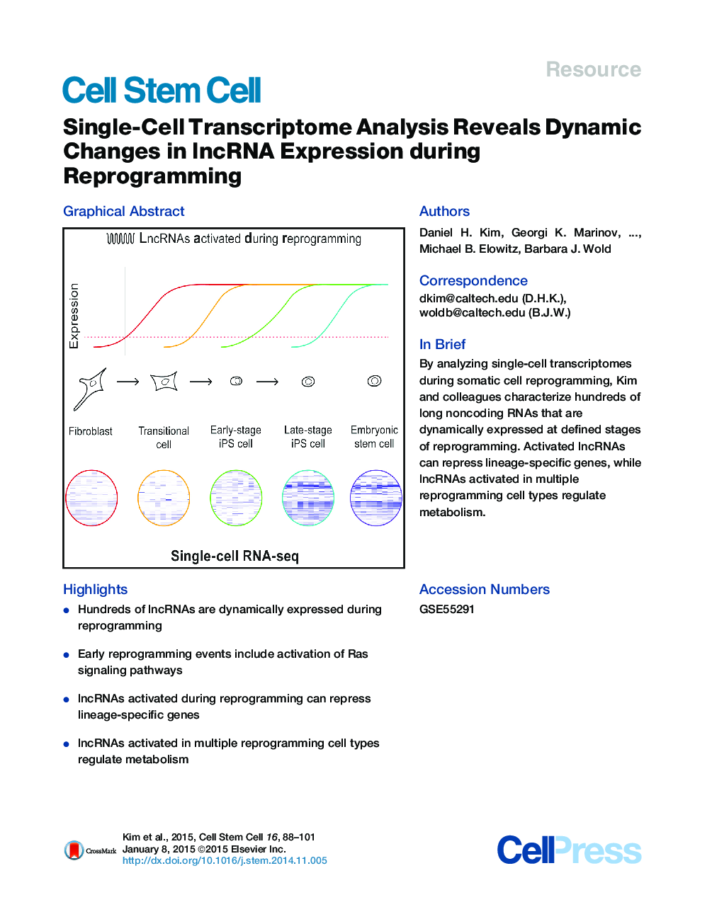 Single-Cell Transcriptome Analysis Reveals Dynamic Changes in lncRNA Expression during Reprogramming