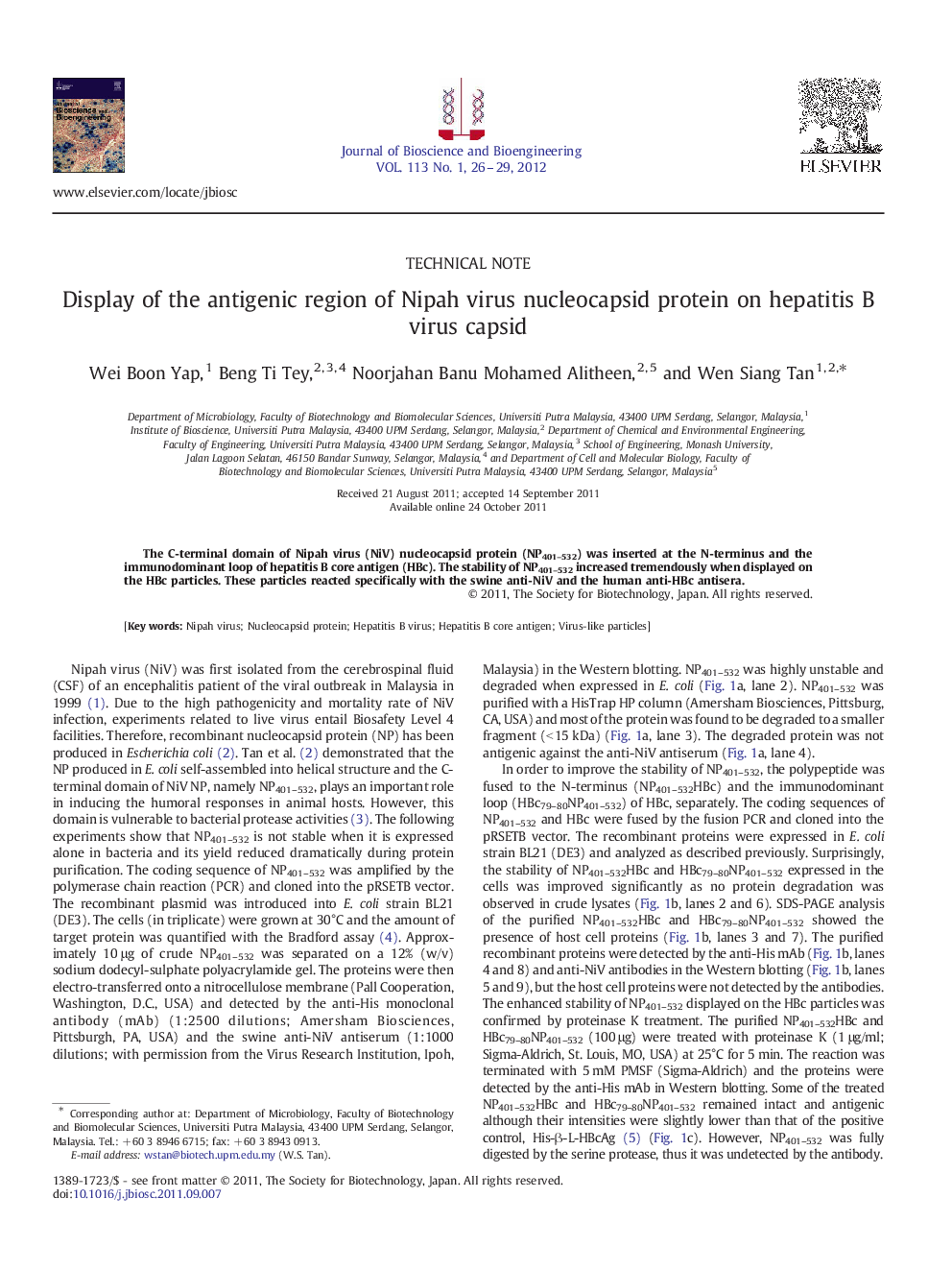 Display of the antigenic region of Nipah virus nucleocapsid protein on hepatitis B virus capsid