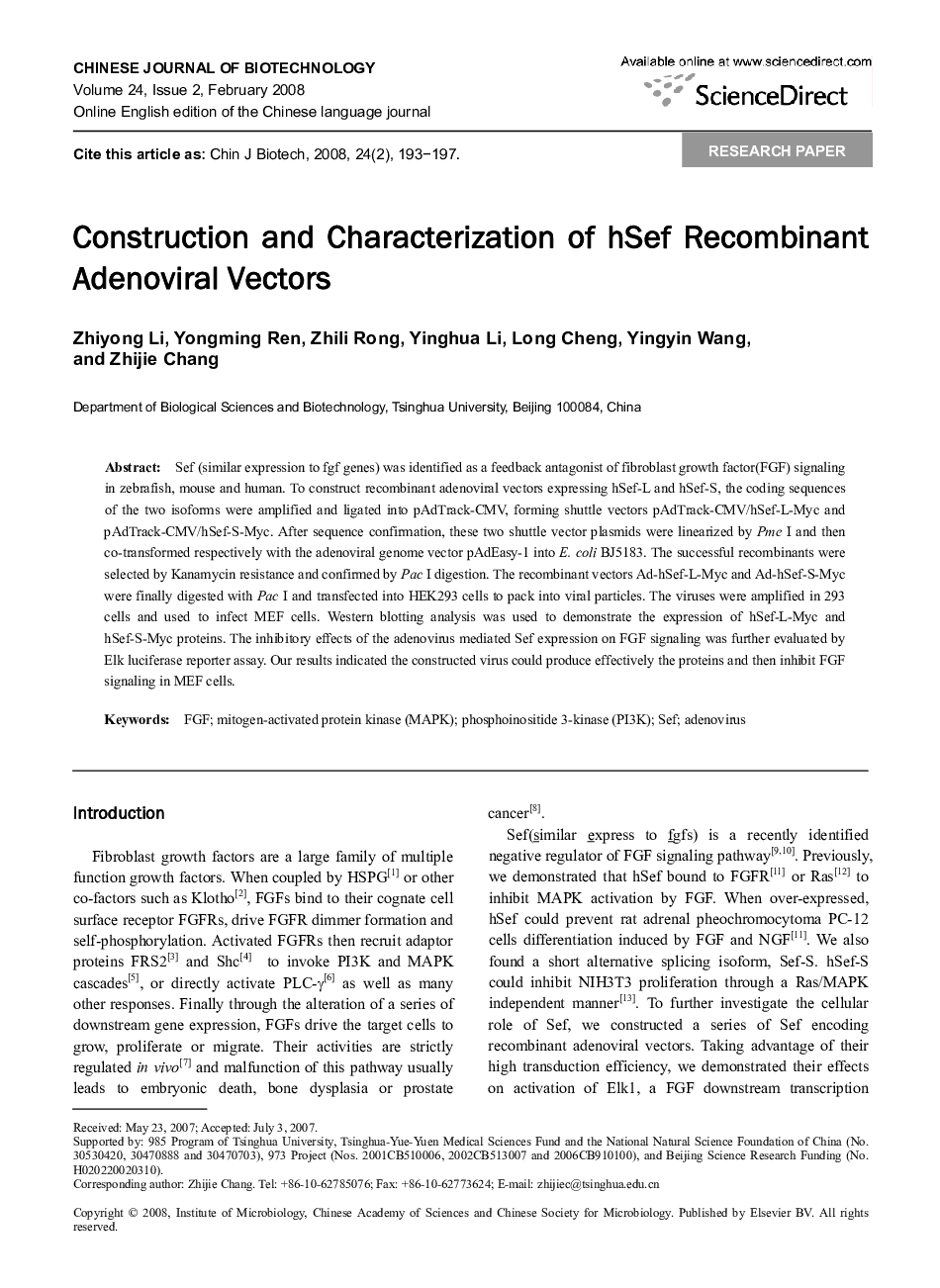 Construction and Characterization of hSef Recombinant Adenoviral Vectors