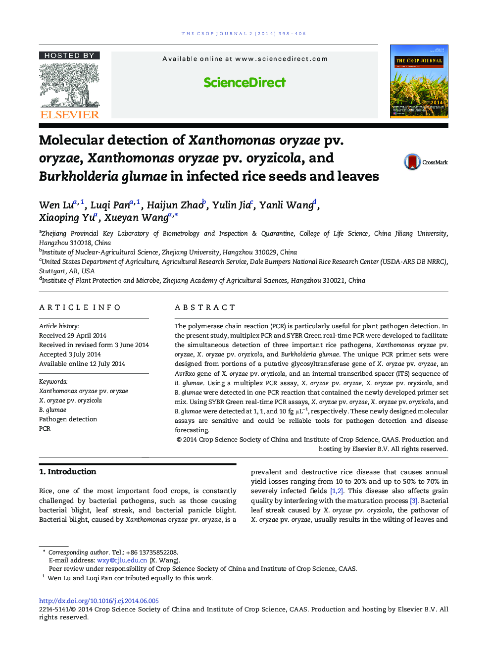 Molecular detection of Xanthomonas oryzae pv. oryzae, Xanthomonas oryzae pv. oryzicola, and Burkholderia glumae in infected rice seeds and leaves 