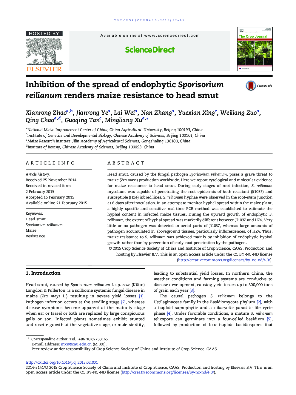 Inhibition of the spread of endophytic Sporisorium reilianum renders maize resistance to head smut