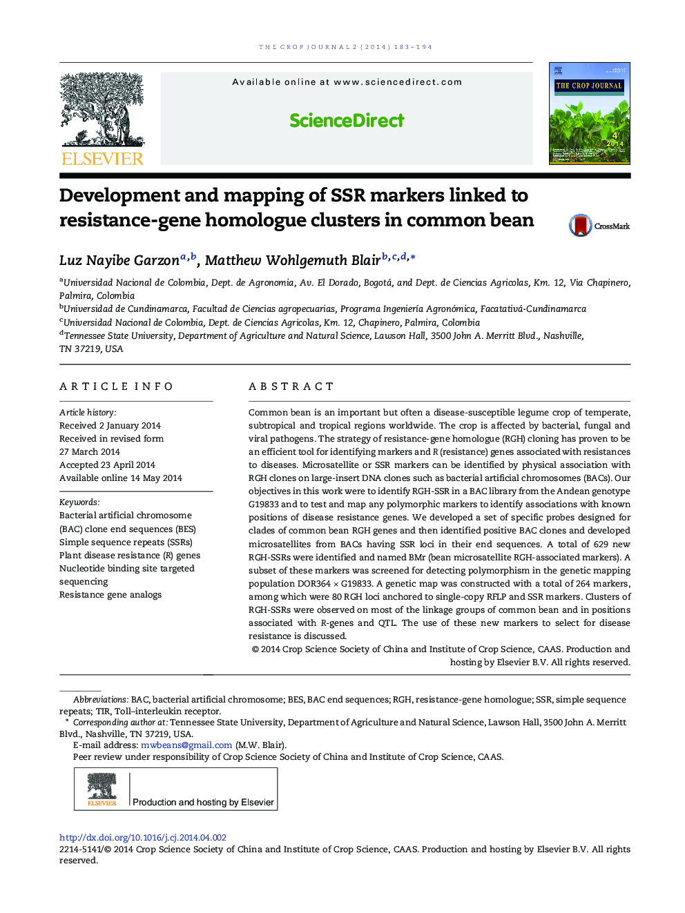 Development and mapping of SSR markers linked to resistance-gene homologue clusters in common bean