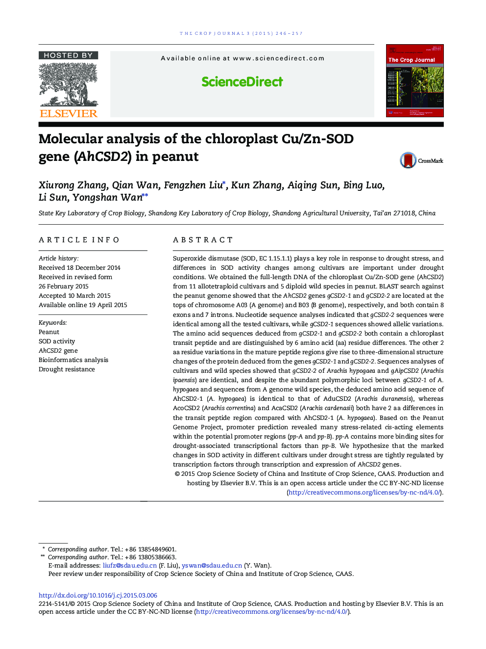 Molecular analysis of the chloroplast Cu/Zn-SOD gene (AhCSD2) in peanut 