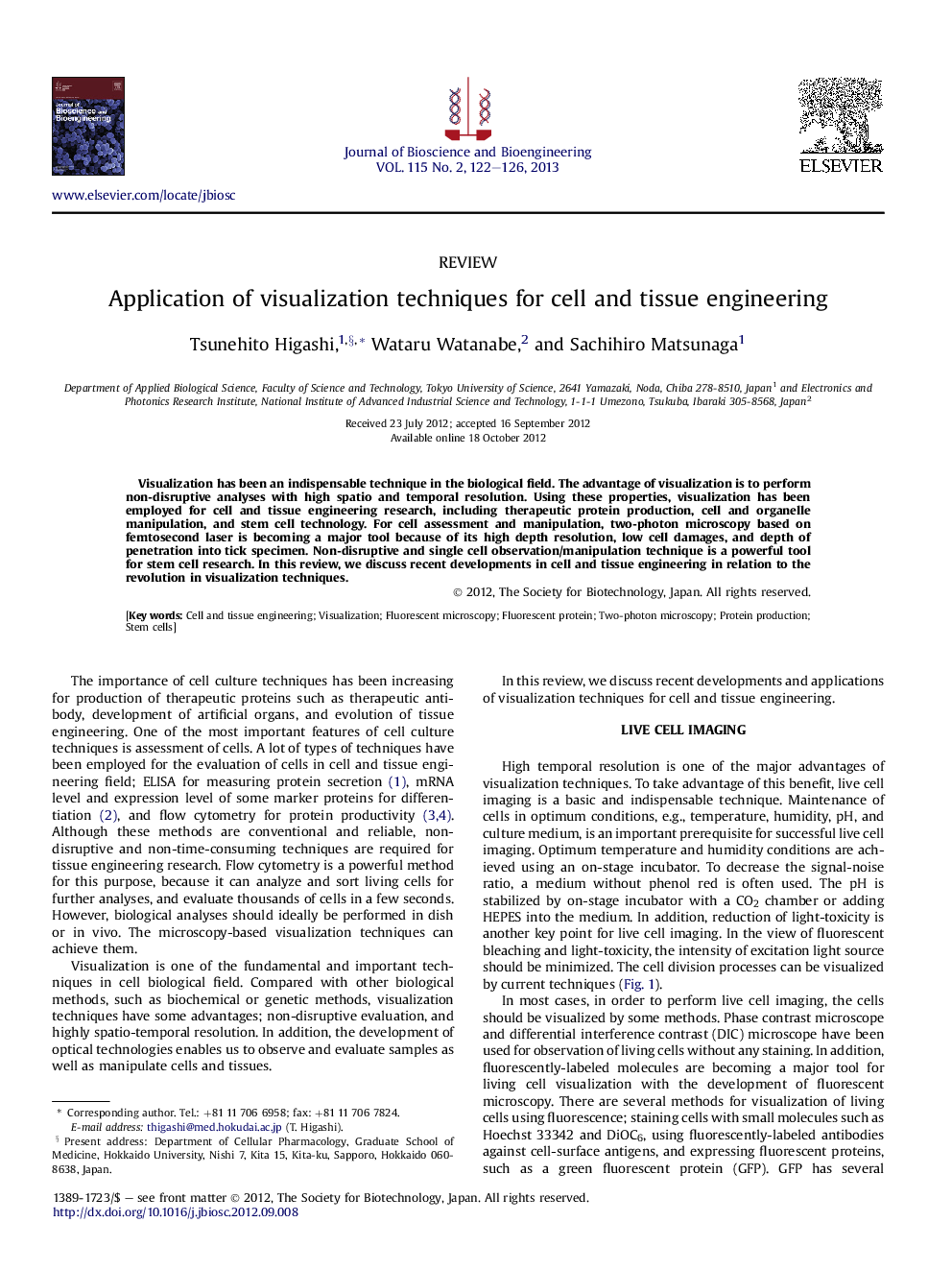 Application of visualization techniques for cell and tissue engineering