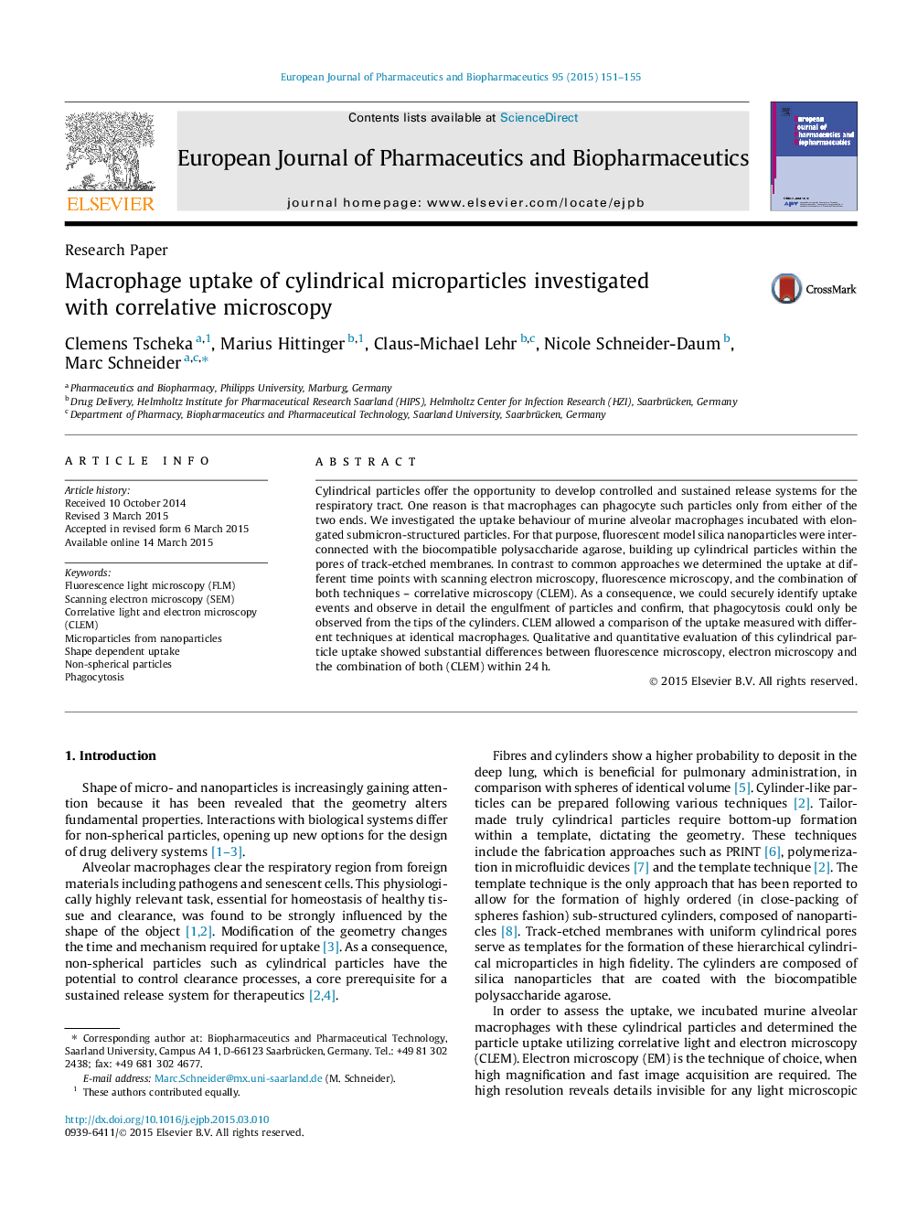 Macrophage uptake of cylindrical microparticles investigated with correlative microscopy