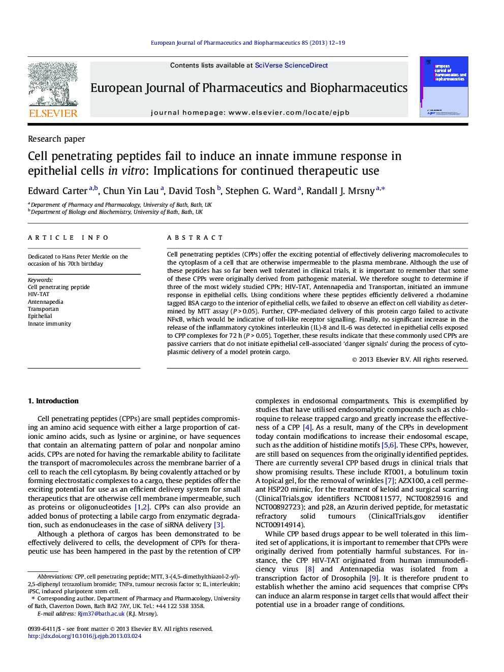 Cell penetrating peptides fail to induce an innate immune response in epithelial cells in vitro: Implications for continued therapeutic use