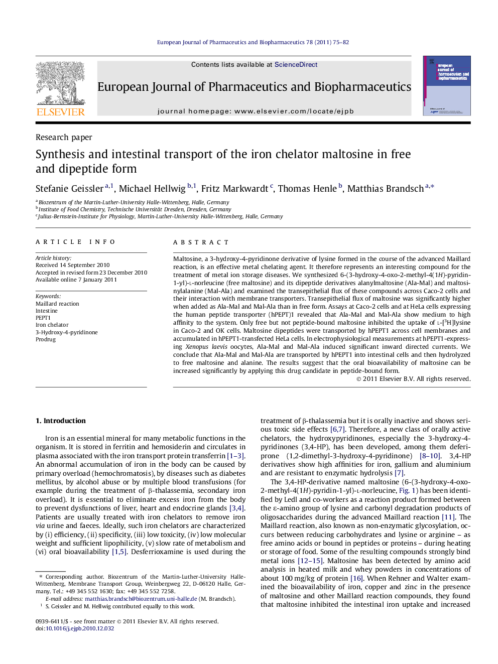 Synthesis and intestinal transport of the iron chelator maltosine in free and dipeptide form