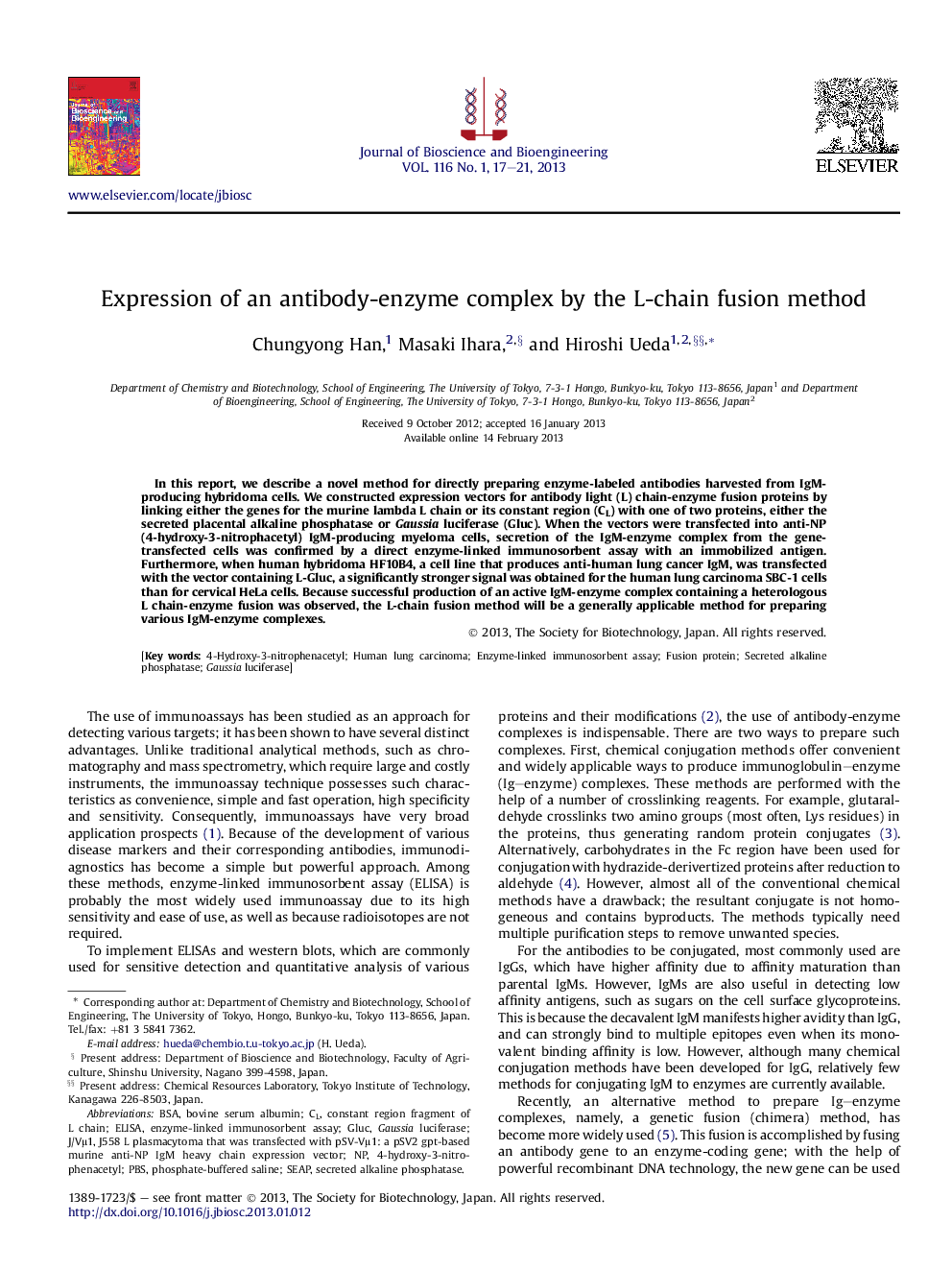 Expression of an antibody-enzyme complex by the L-chain fusion method